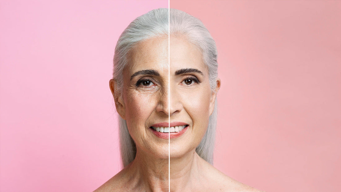 Scientific Principles of Stem Cell Anti-Aging