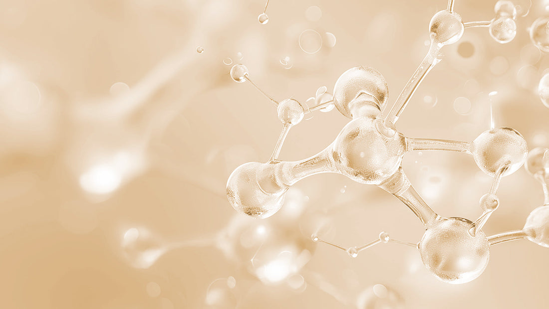 Anti-Aging Skincare Solution at the Stem Cell Level